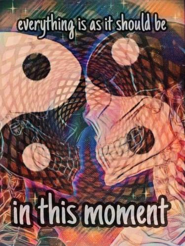 462805585_9348963775116966_3025289488439785336_n