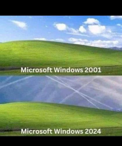 windows