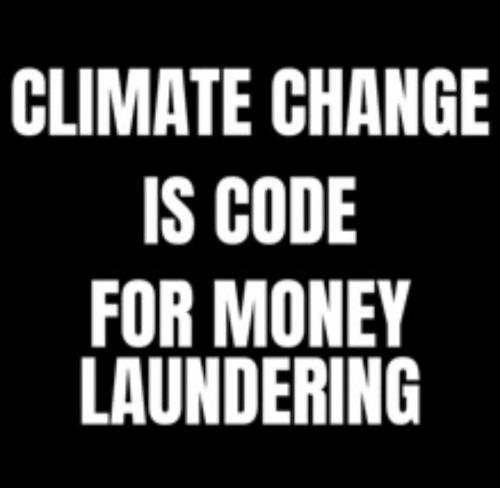 Screenshot_20241009_125722_Wimkin Free Speech Social Media