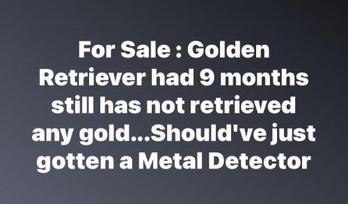 image_C642F588-62B6-40A4-A066-B250AED110E3