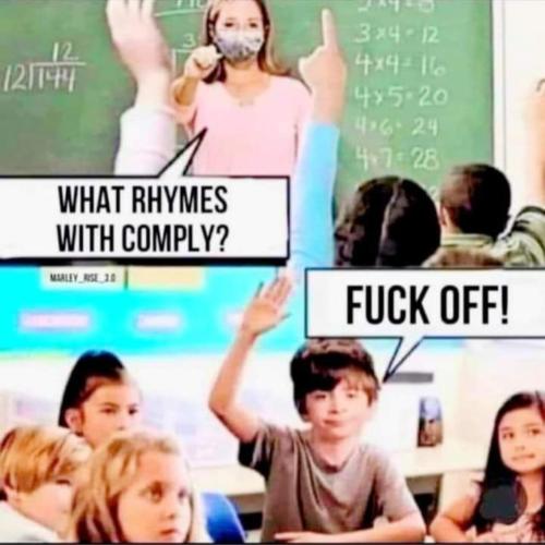 image_03182CDF-6FFE-4474-99EF-932138CA5570