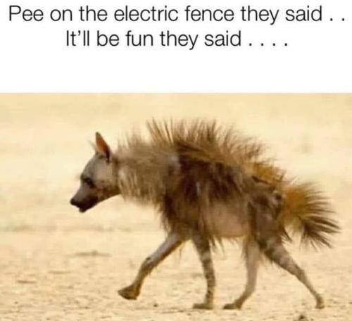 26AA5F50-1A7F-4B5B-8C1A-99913E996854