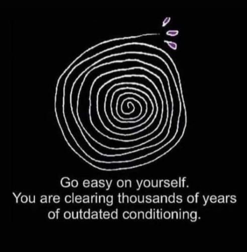 464294451_2017349678693484_1820301195954344011_n