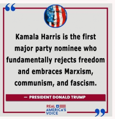 image_2024-10-29_064944024