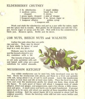 a3761e02be74314245075c4f10b711d9