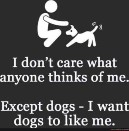 7464bd40011ef8169fa4e5d46e311ff8842bee352bb2579ea649a920d9172c33_1