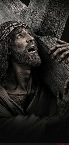 cfa86b51d8fb72e260eff13853a15598c33d540a487eb256fd69c6f2c4c84462_1