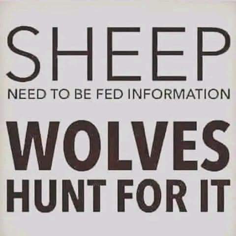 FB_IMG_1729352915739