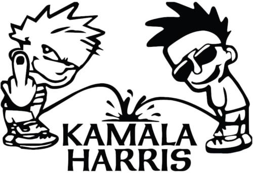 Fuck 🖕 you Kamala Harris!
