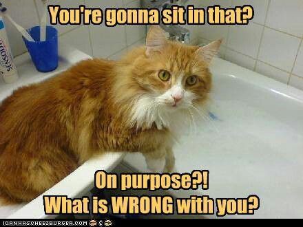 113a5db2ea334fba5a67e5dca47630de