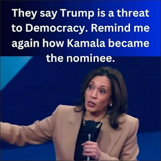 threat to democracy00