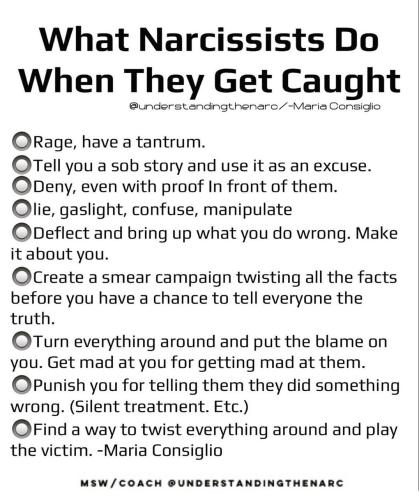 IMG_20241007_203123_461