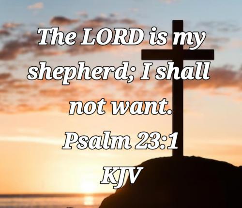 25be3bb3-5aea-46cf-9bdd-06b582e48280