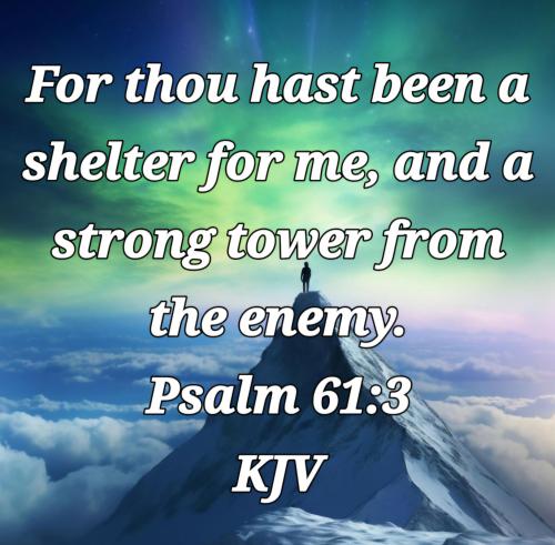 6b86ce37-5298-4f9e-86ff-530286c253a6