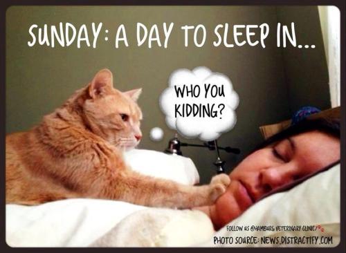 9836b96329868ab53ac7821ed6d377c2