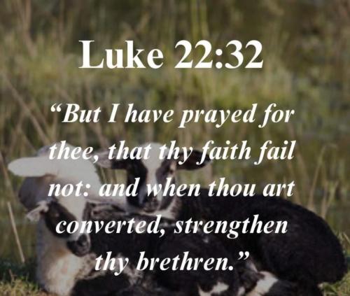 925af04e-fb8c-4ce5-8925-1ec3e2e0f3f0