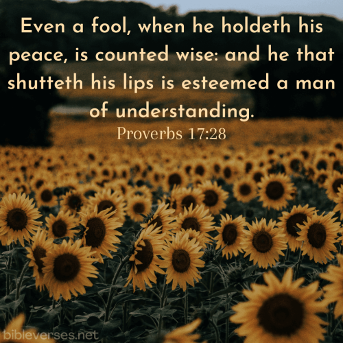 proverbs-17-28