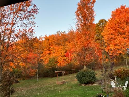 039E96F4-74C0-4C90-B417-5E468614158E