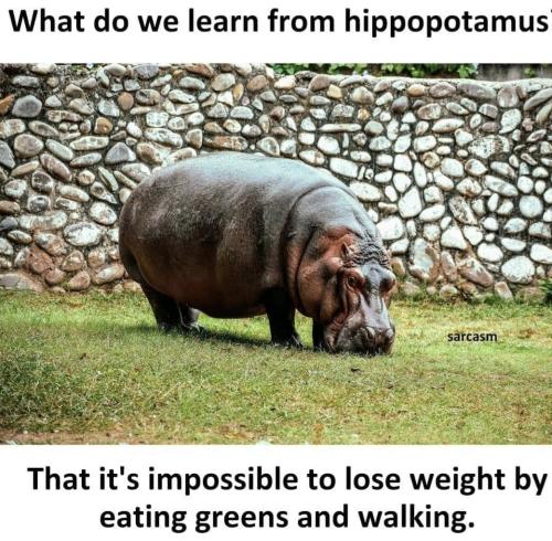 Screenshot_20241027_184325_Facebook