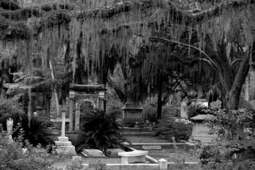 Bonaventure Cemetery, Savannah, Georgia 4