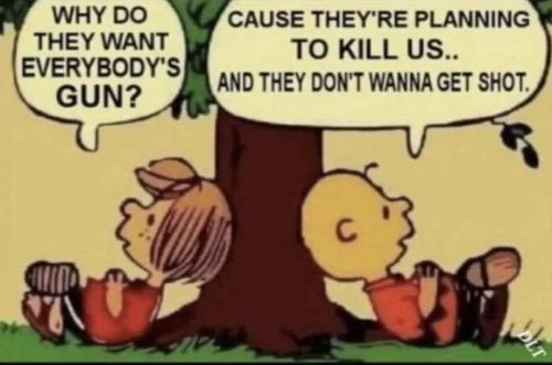 Peanuts on Guns 1