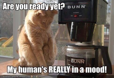 26c6538e3aa161a4bf9a1cbb70363e94