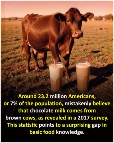 462459711_122168603792122027_7179267234514652901_n