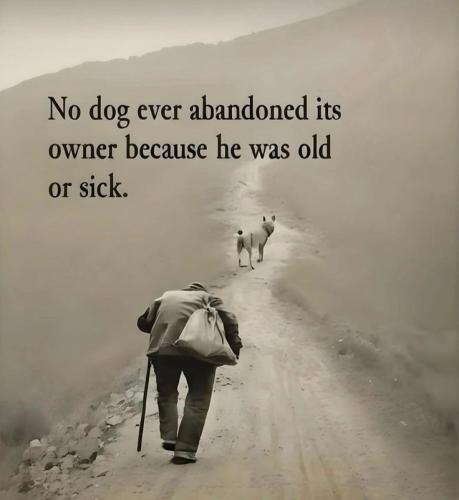 9b3d51a7eda26a6da531f5ffda0b5c78