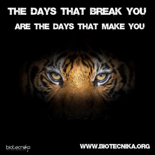 7335298cbedcc3987f1f3f4debb88d08