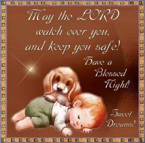 081f432cbf4e1225b11c98c59ca48c2d