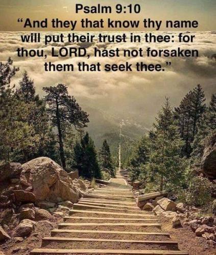 b542df58-37a5-4ea9-ac31-f174184a74ae