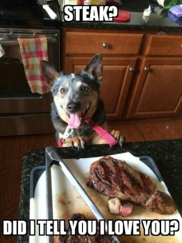 8d3061e8a930d614482eb7cb29dbfbc6