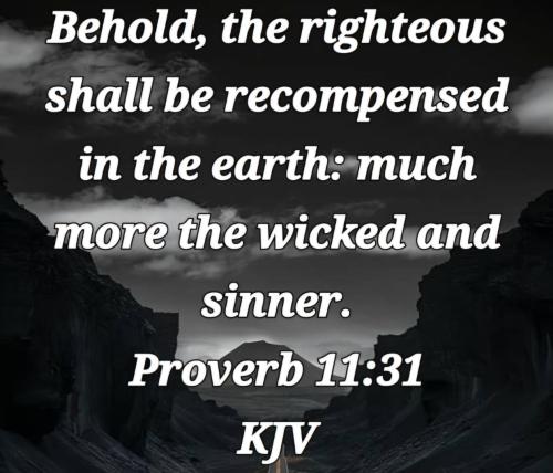 02c8688e-eba4-47f1-be66-963a6f409267