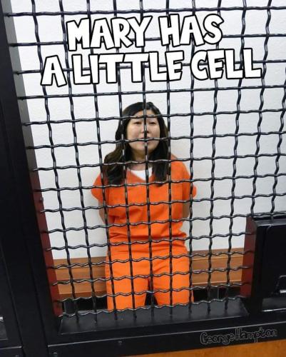 Mary has a little cell