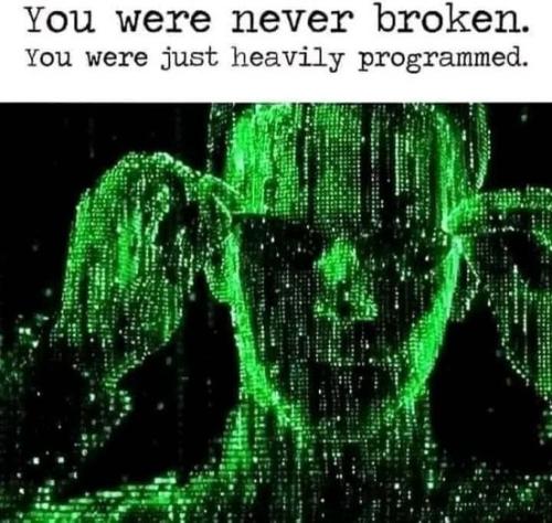462111516_411336925341886_2079021941472773440_n
