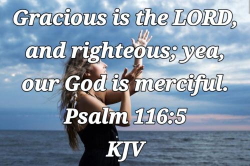 d9278081-b2e3-42e8-a1d2-cf3c10d18430