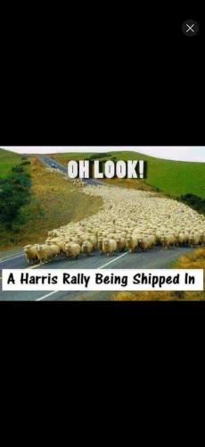 Screenshot_20241003_122408_YouTube