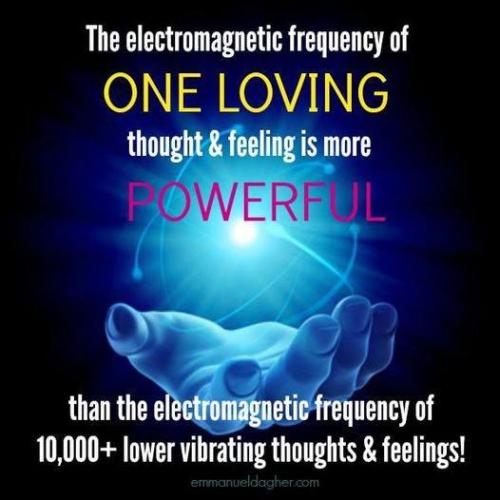 ,     ,       328341859_88451847936