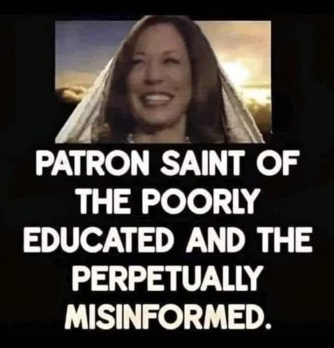 image_08BDB579-DAE5-4136-A94F-272BE491A629