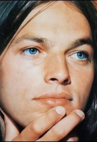 FB_IMG_1729266918979