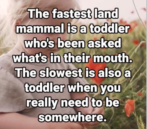 84267C3E-0380-41BD-9D7E-F9E3CED4C95A