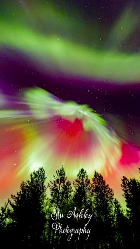 a14a5fdf-61ef-4f57-acdb-27d8a6dbe81a