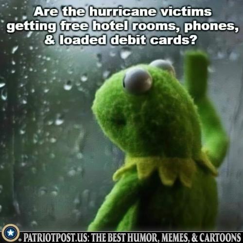 xephula_42160cdd851b151f1763bb857dd0910d