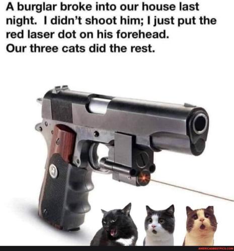 b9ea85a387a7aea7cb64ca84072acc7dbbf78d4eeb283b5cf8e753b94b146675_1