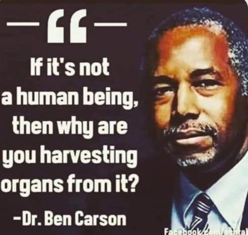 ben carson