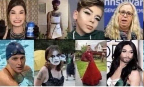 1200f35c-5097-451f-9e77-cc2c20425e7b