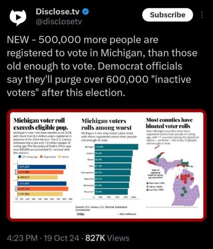 MICHIGAN VOTER FRAUD