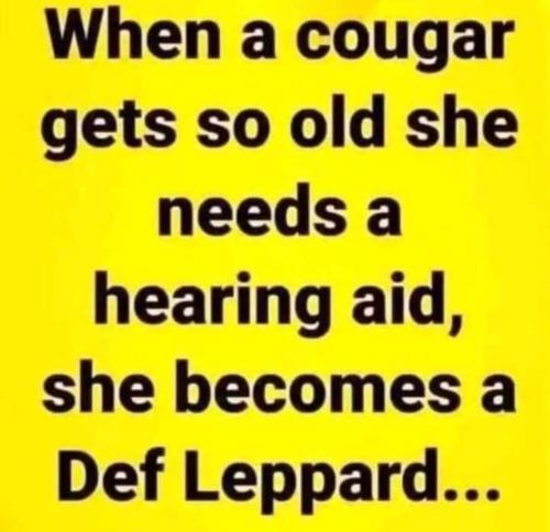 image_18AFE3EA-7033-476A-A742-169BF48A18E3