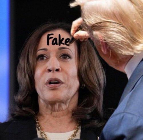 photo_2024-10-26_12-35-23