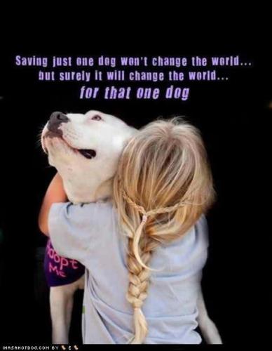 d04a70da3788f9679ecde66ef76b8f4f